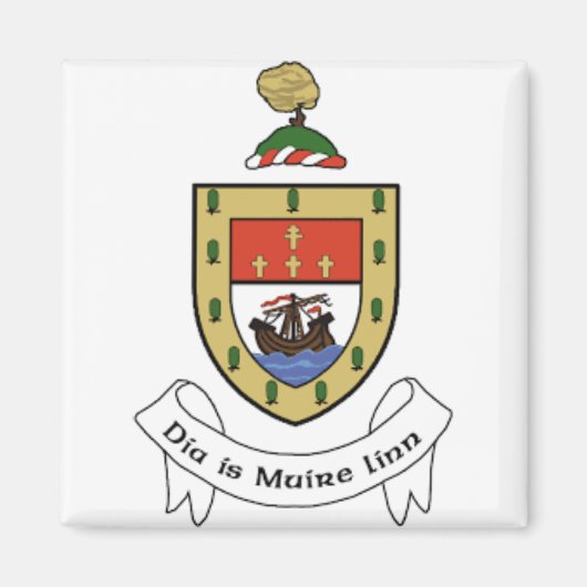 Irland County Mayo Magnet (Vorne)