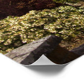 Irland, das Schloss Dromoland Walled Garden Poster (Ecke)