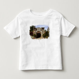 Irland, der ummauerte Garten von Dromoland Castle Kleinkind T-shirt