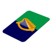 Irland Flag Magnet - Harp on Blue & Green (Linke Seite)
