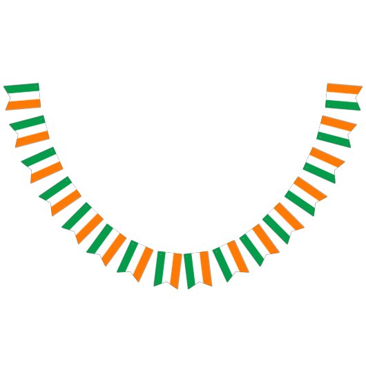 Irland Flagge (Alle)