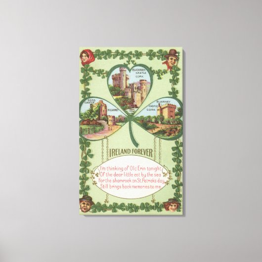 Irland Forever - Cork und Killarney Castles Leinwanddruck (Vorderseite)