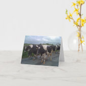 Irland Foto Karte (Gelbe Blume)