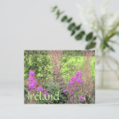 Irland Heather Postcard Postkarte (Stehend Vorderseite)