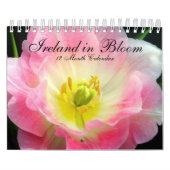 Irland im Blüten-Kalender Kalender (Titelbild)