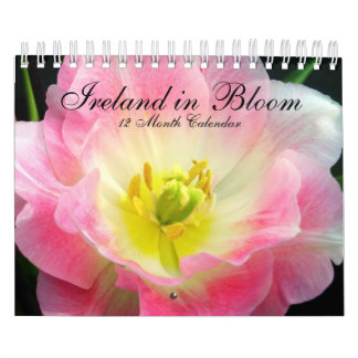 Irland im Blüten-Kalender Kalender