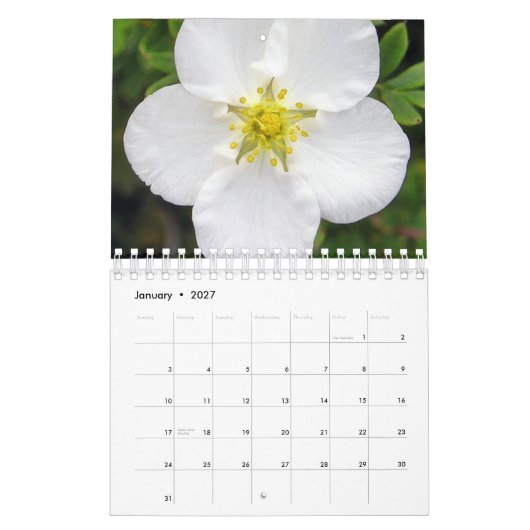 Irland im Blüten-Kalender Kalender (Jan 2027)
