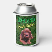 Irland Irish Setter Clovers Kleeblatts Dosenkühler (Kanne Rückseite)