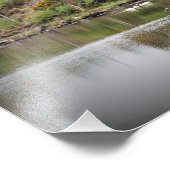 Irland, Landkreis Cork, Lake, Swans, Fotografie (Ecke)