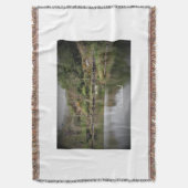 Irland, Landkreis Cork, Lake, Swans, Fotografie Decke (Vorderseite Vertikal)