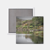 Irland, Landkreis Cork, Lake, Swans, Fotografie Magnet (Vorderseite/Rückseite)