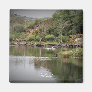 Irland, Landkreis Cork, Lake, Swans, Fotografie Magnet