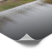 Irland, Landkreis Cork, Lake, Swans, Fotografie Poster (Ecke)