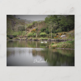 Irland, Landkreis Cork, Lake, Swans, Fotografie Postkarte