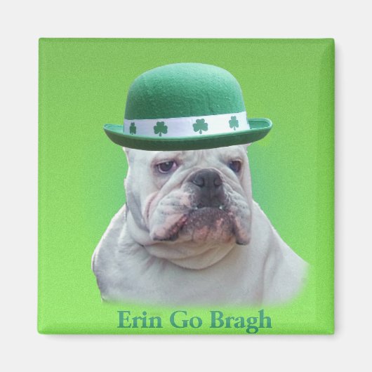 Irland Magnet (Vorne)