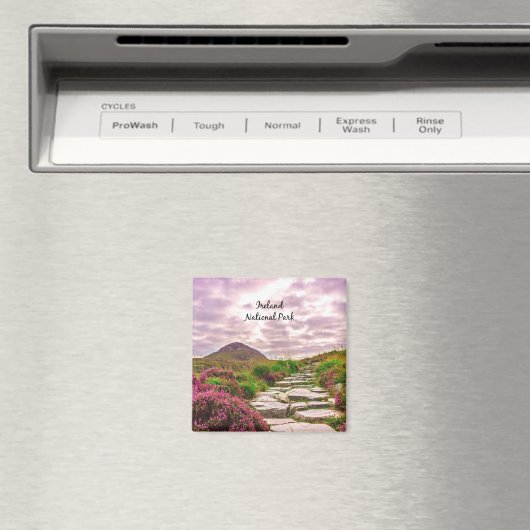 Irland Nationalpark Magnet (In Situ (Geschirrspüler))