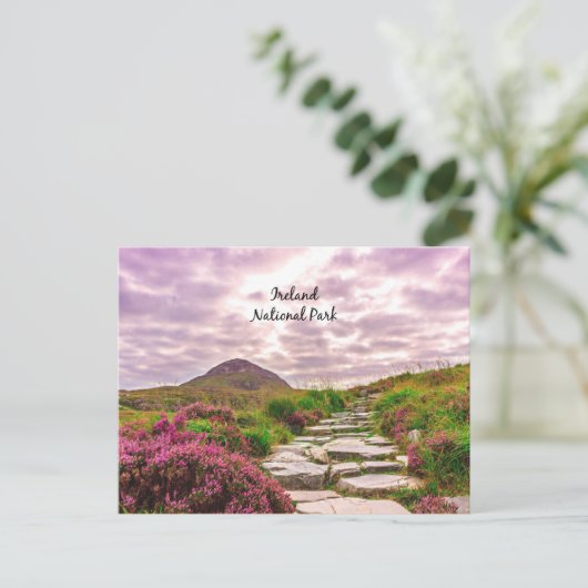 Irland Nationalpark Postkarte (Stehend Vorderseite)