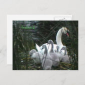 Irland Postkarte (Vorne/Hinten)