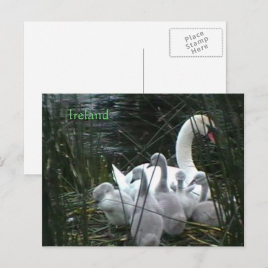 Irland Postkarte (Vorne/Hinten)