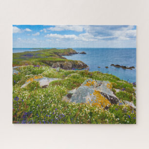 Irland, Saltee-Inseln, Puzzle