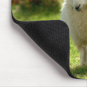 Irland-Schafe Mousepad (Ecke)