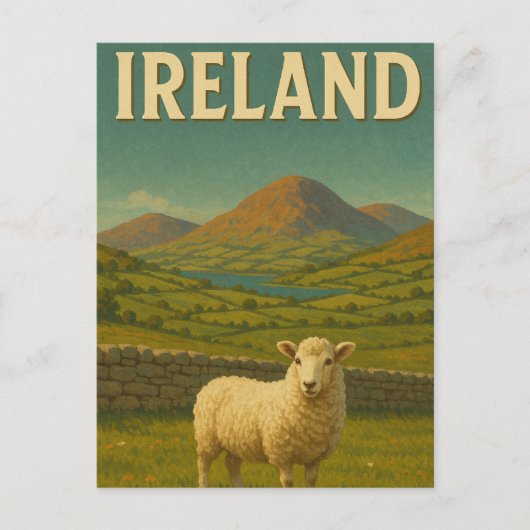 Irland Sheep besuchen Postkarte (Vorderseite)