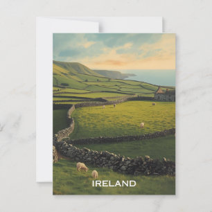 Irland Sheep Postkarte