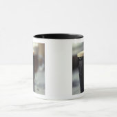 Irland. Stich. Tasse (Zentrum)