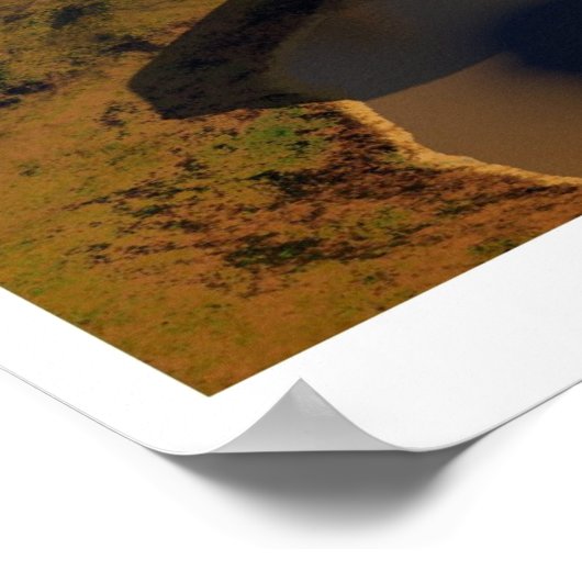 Irland suchen poster (Ecke)