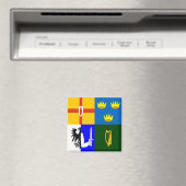 Irland Vier Provinzen Magnet (In Situ (Geschirrspüler))