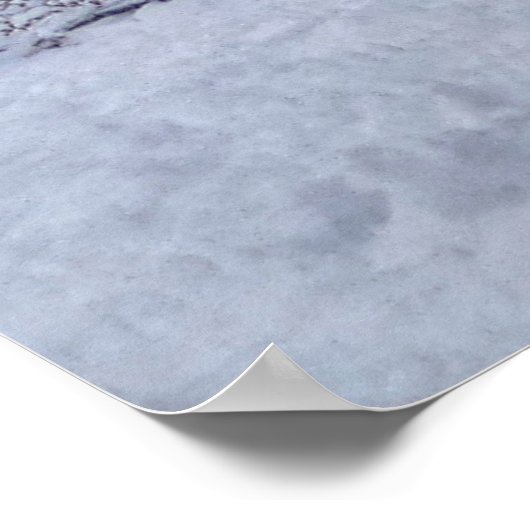 Iron County Courthouse Poster (Ecke)