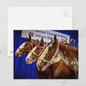 Iron Horse 3 Heads Postkarte (Vorne/Hinten)