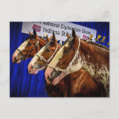 Iron Horse 3 Heads Postkarte (Vorderseite)