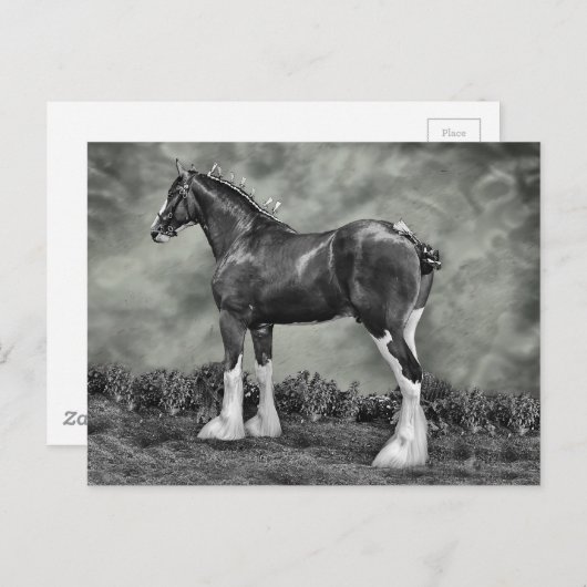 Iron Horse Steele Postkarte (Vorne/Hinten)