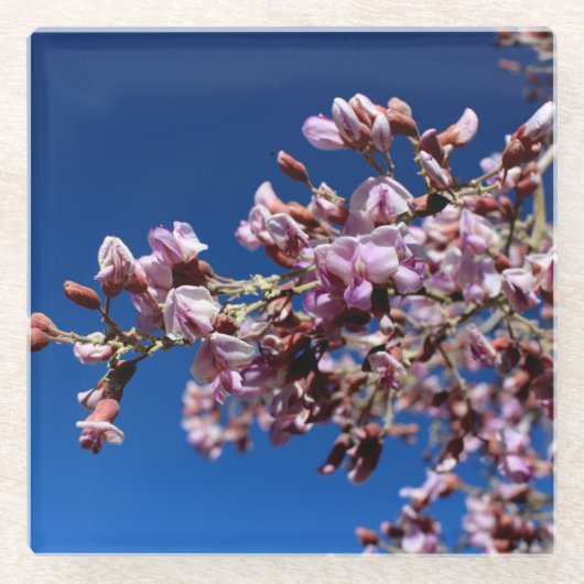 Ironwood-Blume Lila Blogs Glasuntersetzer (Vorderseite)