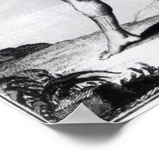 Iroquois Man, Bewohner Kanadas Poster (Ecke)