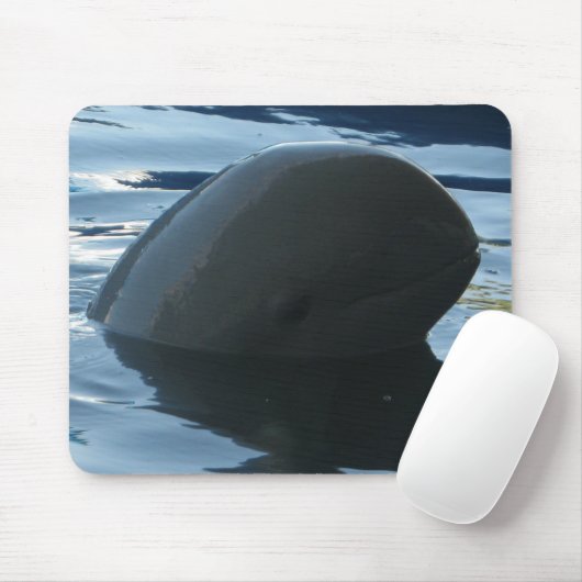 Irrawaddy Delphinpeekaboo Mousepad (Mit Mouse)