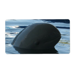 Irrawaddy Dolphin Flüchtige Blick-A-Boo