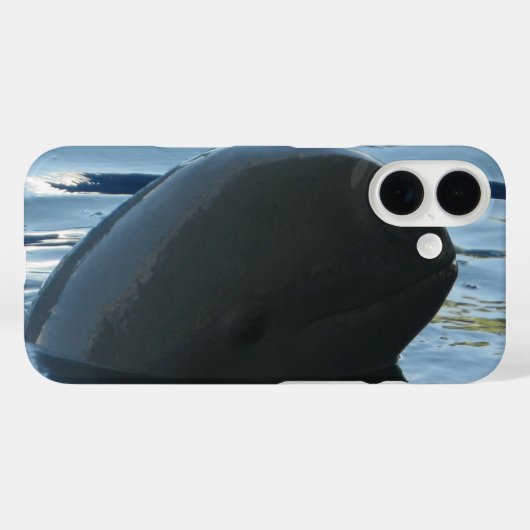 Irrawaddy Dolphin Flüchtige Blick-A-Boo Case-Mate iPhone Hülle (Rückseite (Horizontal))