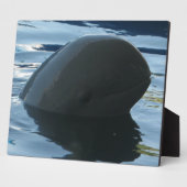 Irrawaddy Dolphin Flüchtige Blick-A-Boo Fotoplatte (Seite)