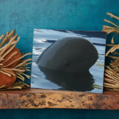 Irrawaddy Dolphin Flüchtige Blick-A-Boo Fotoplatte (Seite)