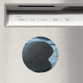 Irrawaddy Dolphin Flüchtige Blick-A-Boo Magnet (In Situ (Geschirrspüler))