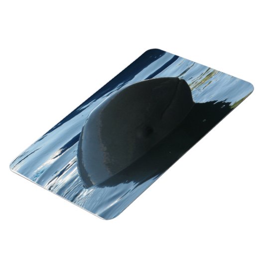 Irrawaddy Dolphin Flüchtige Blick-A-Boo Magnet (Linke Seite)