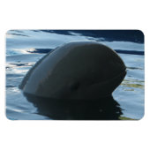 Irrawaddy Dolphin Flüchtige Blick-A-Boo Magnet (Horizontal)