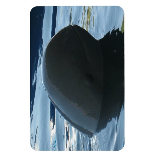 Irrawaddy Dolphin Flüchtige Blick-A-Boo Magnet (Vertikal)