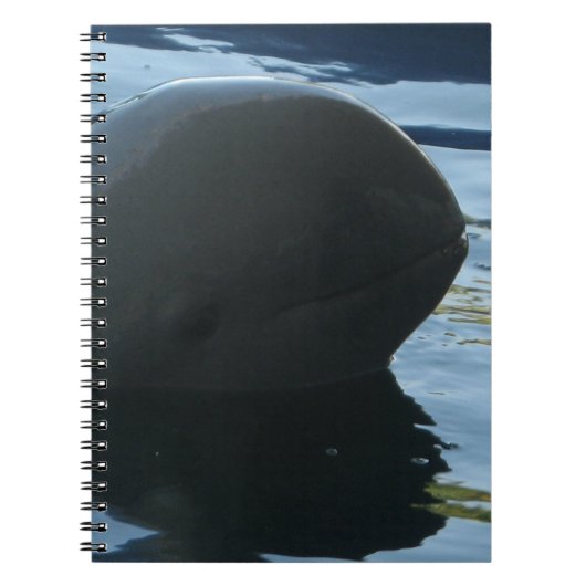 Irrawaddy Dolphin Flüchtige Blick-A-Boo Notizblock (Vorderseite)
