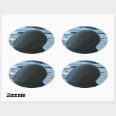 Irrawaddy Dolphin Flüchtige Blick-A-Boo Ovaler Aufkleber (Blatt)