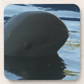 Irrawaddy Dolphin Flüchtige Blick-A-Boo Untersetzer (Vorderseite)