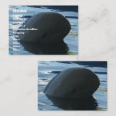 Irrawaddy Dolphin Flüchtige Blick-A-Boo Visitenkarte (Vorne/Hinten)