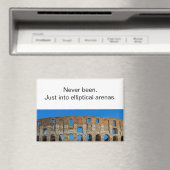 Irreverent Rome Colosseum Travel Refrigerator Magnet (In Situ (Geschirrspüler))
